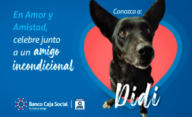 ¡Somos el Amigo de los Mejores Amigos!